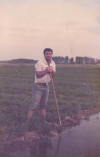 Regando alfalfa (1983)